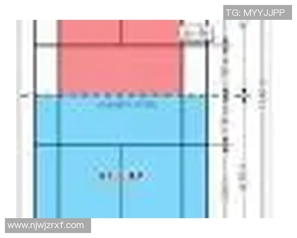上海羽毛球队夺冠经验分享最新羽毛球比赛TOP10技巧解析 上海羽毛球队夺冠经验分享最新羽毛球比赛TOP10技巧解析