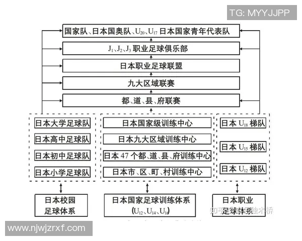 足球践踏的背后真相与影响探讨及未来发展方向分析