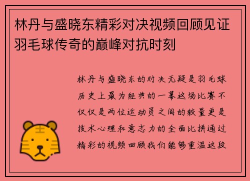 林丹与盛晓东精彩对决视频回顾见证羽毛球传奇的巅峰对抗时刻